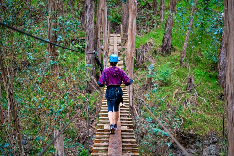 Maui: Haleakala 6-Line Zipline Adventure - Views of forest and coast, plus the ecology talk that makes it stick