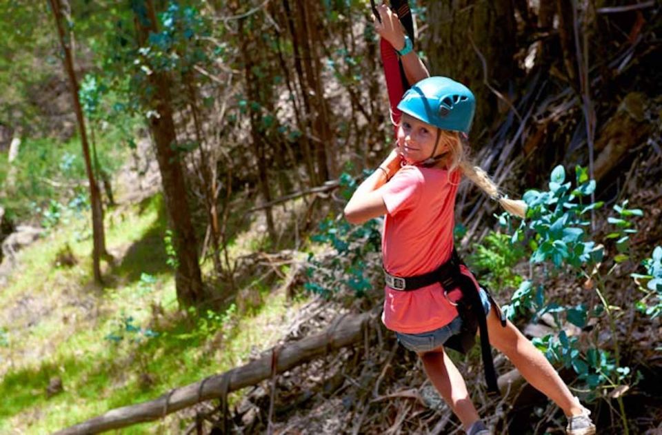 Maui: Haleakala 6-Line Zipline Adventure - Safety gear, equipment, and what to wear
