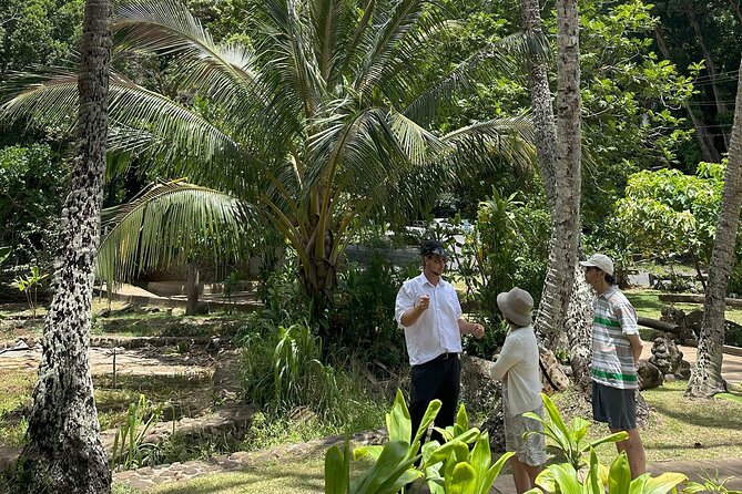 Maui Historical Island Tour - Pickup that’s easy to find (and why that matters)