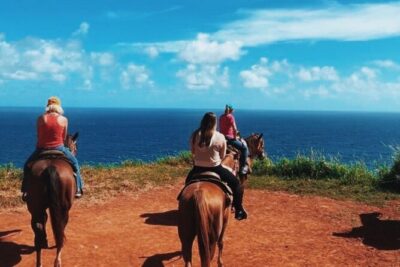 Maui Horseback Adventure at Circle M Ranch With Real Cowboys - Ranch Briefing and Horse Matching for First-Timers