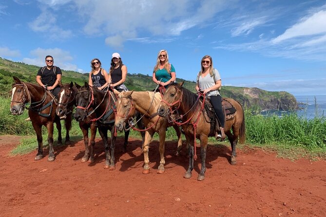 Maui Horseback Adventure at Circle M Ranch With Real Cowboys - Up the Mountain Through Taro Patches and Plantation Homes