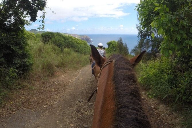 Maui Horseback Adventure at Circle M Ranch With Real Cowboys - What to Bring (and What the Ranch Handles)