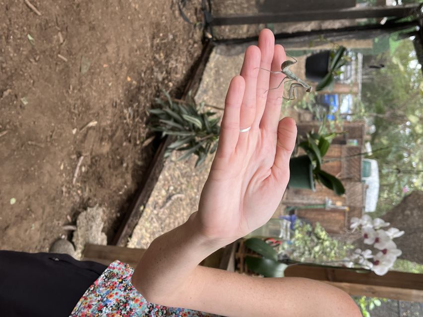 Maui: Interactive Butterfly Farm Entrance Ticket - Who This Tour Is Perfect For (And Who Might Want to Skip)