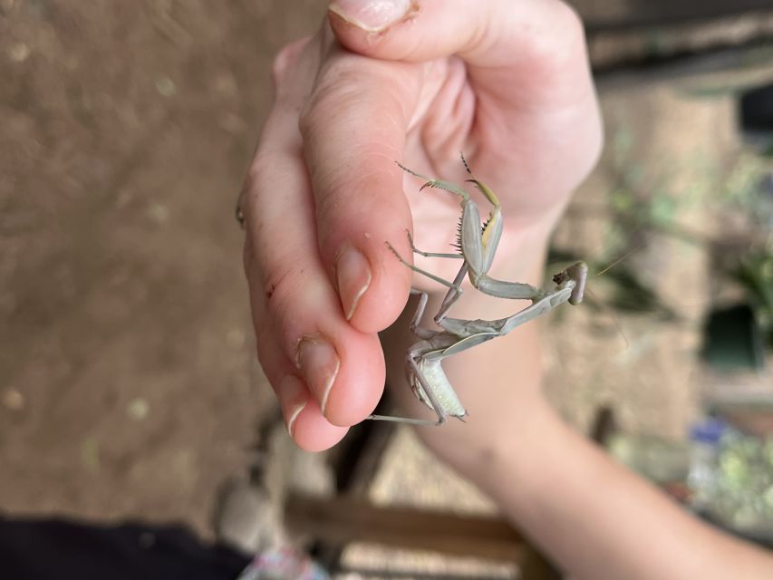 Maui: Interactive Butterfly Farm Entrance Ticket - The 45-Minute Flow: What You’ll Do and See