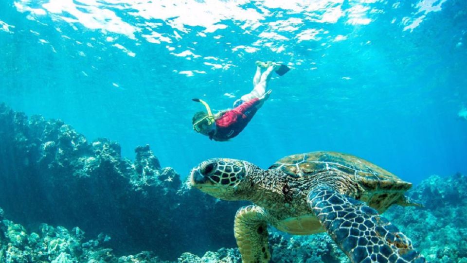 Maui: Kaanapali Beach 5-hr Snorkel w/ BBQ Lunch & Open Bar - Key Things You’ll Notice on This Kaanapali Snorkel Sail