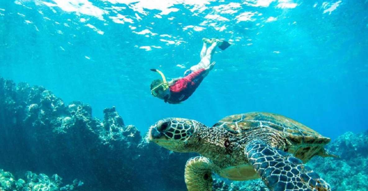 Maui: Kaanapali Beach 5-hr Snorkel w/ BBQ Lunch & Open Bar - Why a Kaanapali Catamaran Snorkel Is Such a Solid Maui Choice