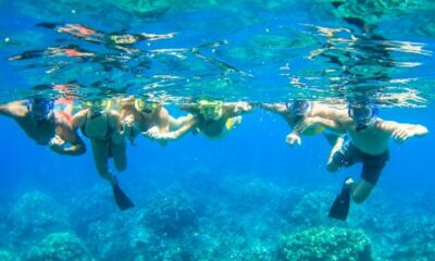 Maui: Kaanapali Beach 5-hr Snorkel w/ BBQ Lunch & Open Bar - From the Aqualani Beach Walk: Morning Start and What Comes First