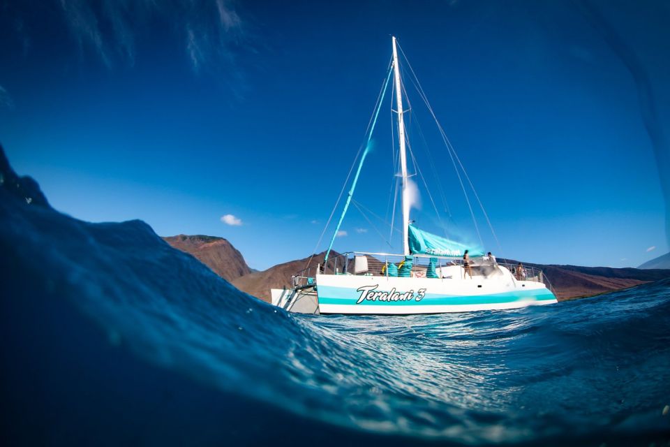 Maui: Kaanapali Dolphin Watching Boat Trip with Lunch - Why a Kaanapali Wild Dolphin Sail Feels Different
