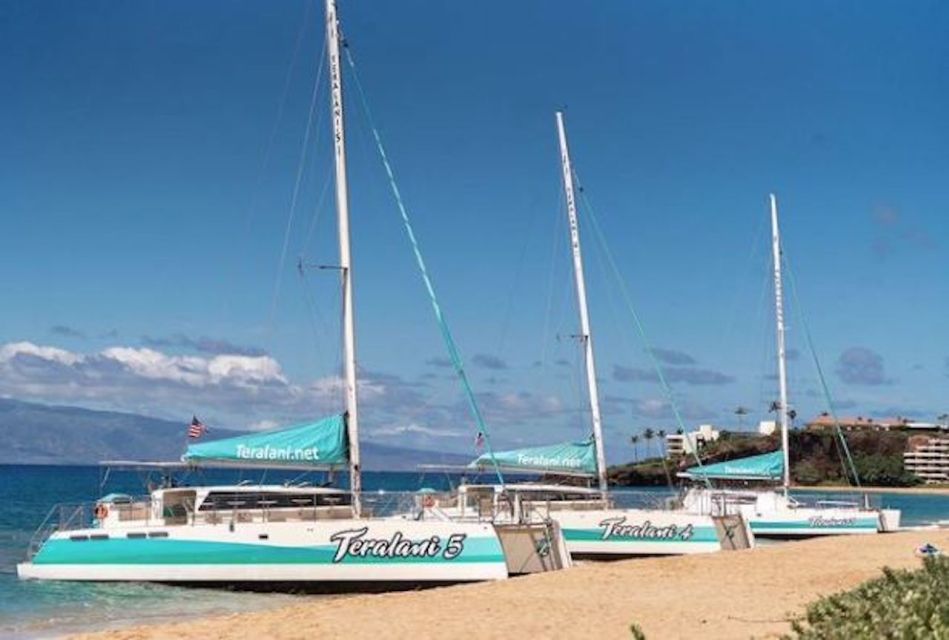 Maui: Kaanapali Dolphin Watching Boat Trip with Lunch - From Aqualani Beach Check-In to Oceanfront Boarding