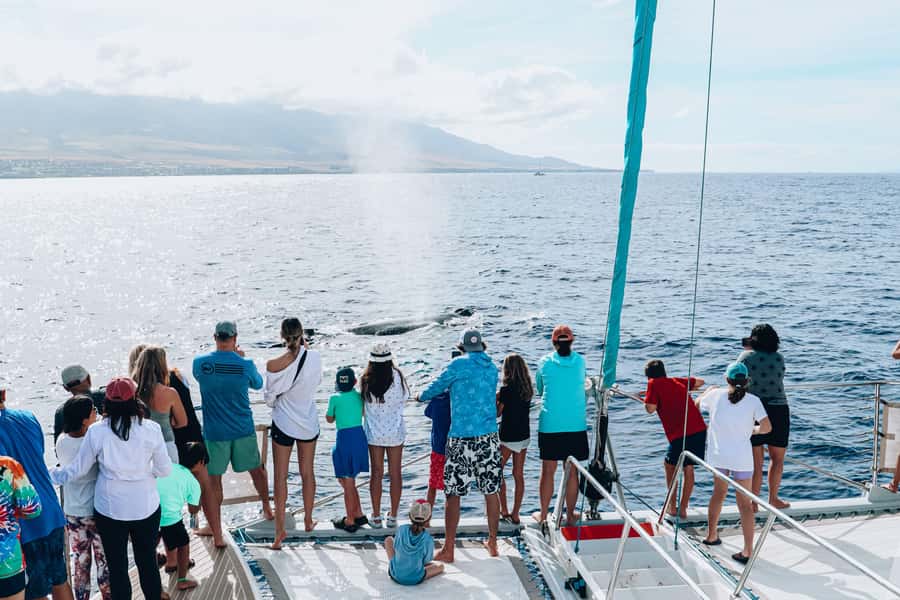 Maui: Ka'anapali Whale Watching Cruise on Luxury Sailboat - Who should book this cruise, and who should skip it