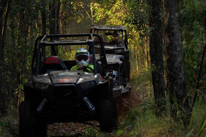 Maui: Lahaina ATV Adventure - The Tree-Planting Moment And Why It Feels Worth It