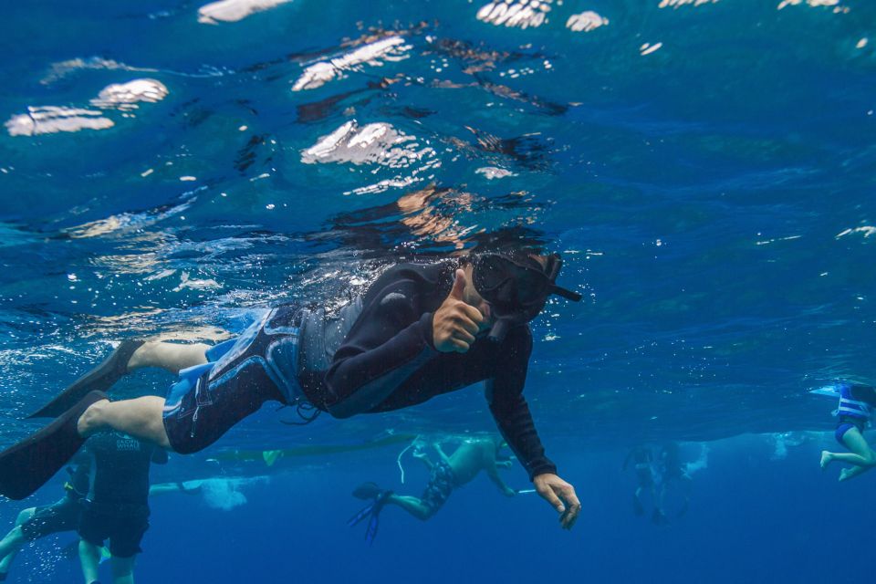 Maui: Lanai Snorkel & Dolphin Watch with Lunch - Who this Maui-to-Lanai tour fits best