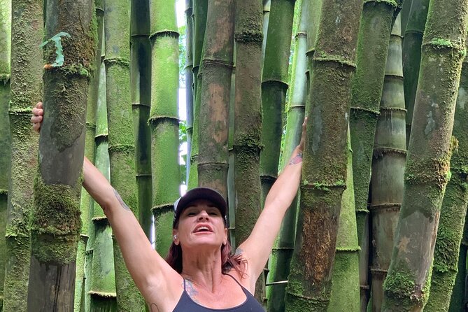 Maui Magical Waterfall and Jungle Tour: Road to Hana - Price and value: what $189 buys you