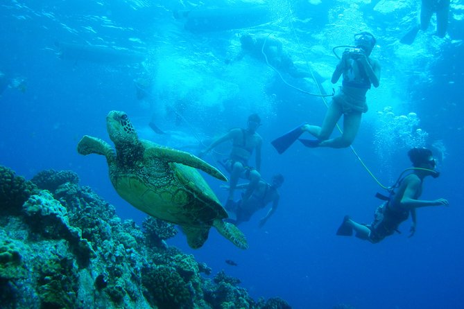 Maui: Molokini and Turtle Town Snorkeling aboard Pride of Maui - The day in motion: how the 5 hours typically feel