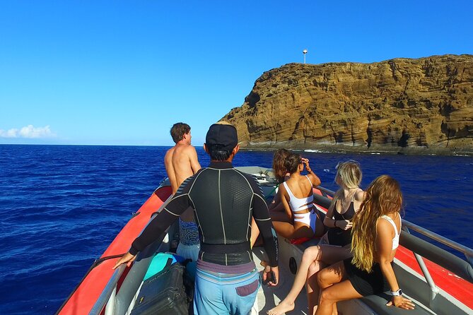 Maui: Molokini Crater and Turtle Town Snorkeling From Kihei - Safety, entry, and who this tour works best for