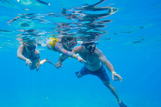 Maui: Molokini Crater and Turtle Town Snorkeling From Kihei - Weather reality: what happens if the ocean is not cooperative