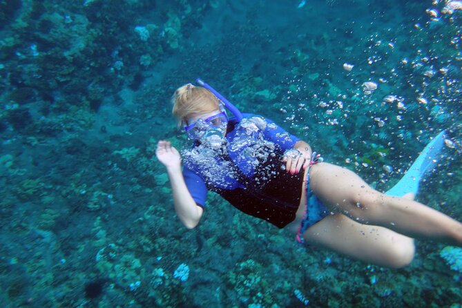 Maui: Molokini & Turtle Town Snorkel & Waterslide Adventure - Whale season planning: November through April