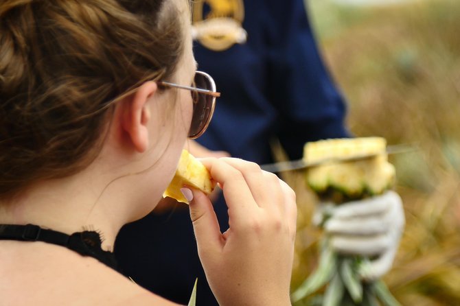 Maui Pineapple Farm Tour in Haliimaile - The Whole Pineapple Take-Home: Airport-Ready Means Plan for Space