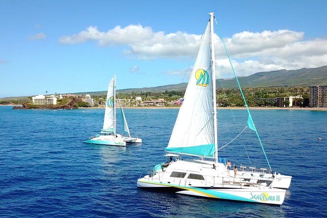 Maui Premium Sunset Dinner Cruise from Ka’anapali Beach - Dinner buffet and the full open bar: value you actually feel