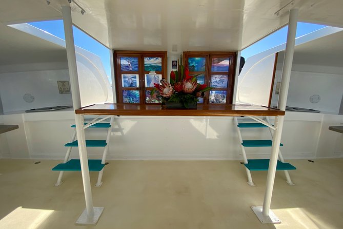 Maui Premium Sunset Dinner Cruise from Ka’anapali Beach - Live music on Wednesdays and Saturdays: the vibe after dinner