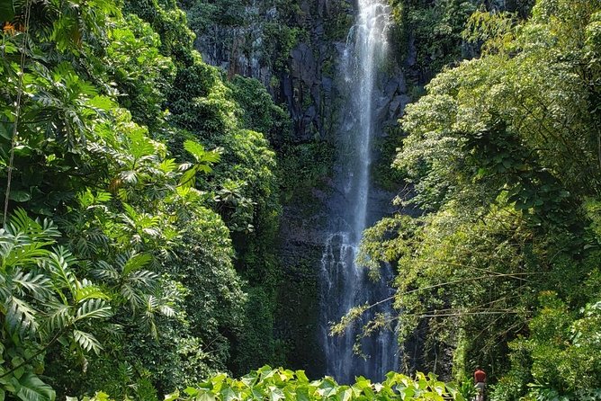 Maui Private Tour - Road to Hana Adventure - Just for Your Group - Price, included stops, and where the value really shows