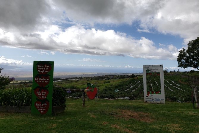 Maui Private Tour - Road to Hana Adventure - Just for Your Group - Stop 3: Aunty Sandy’s Banana Bread for a sweet break