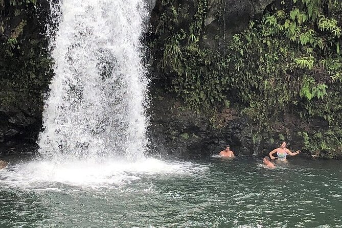 Maui Private Tour - Road to Hana Adventure - Just for Your Group - The drive comfort and local-guide factor (and why it matters on Hana)