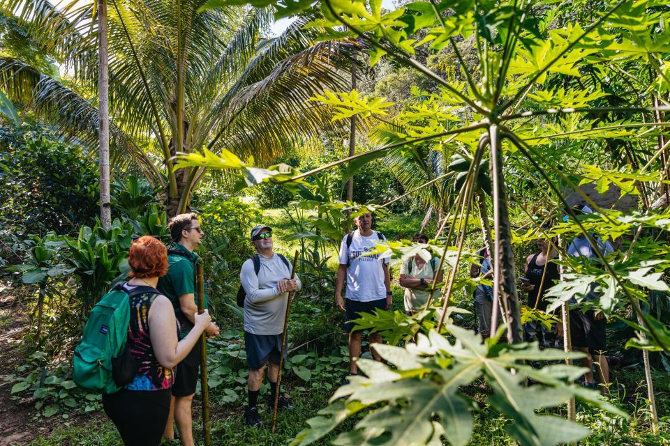Maui: Rainforest Waterfalls Guided Hike with Picnic Lunch - Key highlights you’ll actually use
