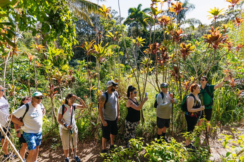 Maui: Rainforest Waterfalls Guided Hike with Picnic Lunch - Who This Tour Fits Best (and Who Should Skip It)