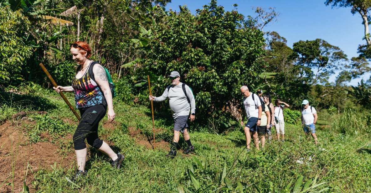 Maui: Rainforest Waterfalls Guided Hike with Picnic Lunch - Why This East Maui Waterfall Hike Feels Different