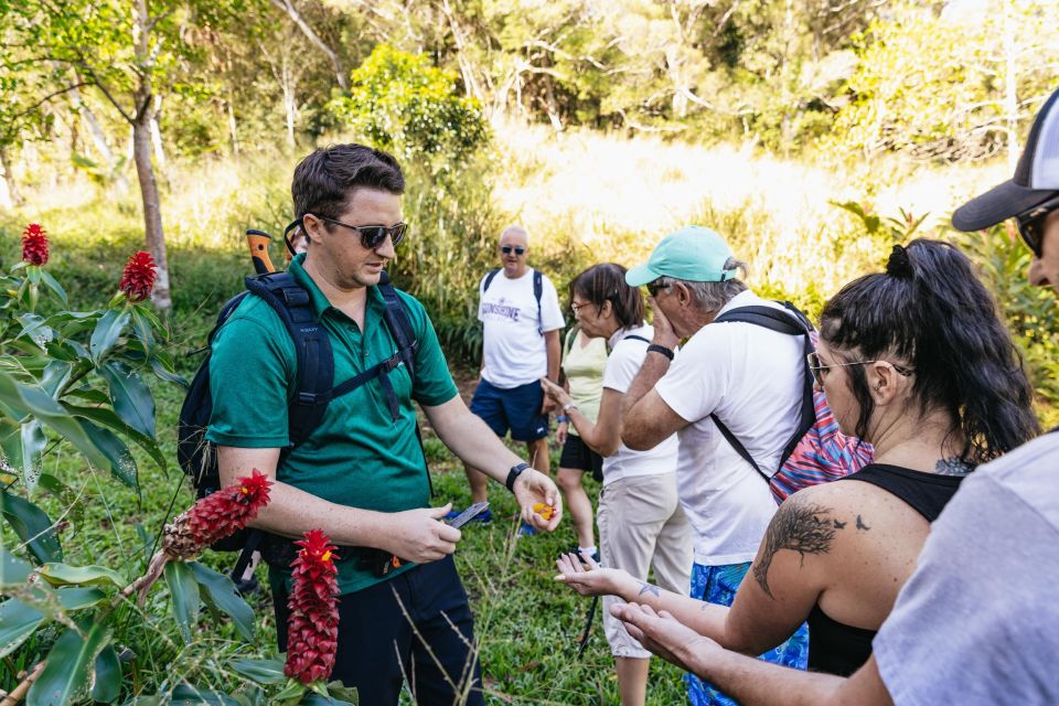Maui: Rainforest Waterfalls Guided Hike with Picnic Lunch - Following Two Streams: What the 3–5 Waterfalls Actually Mean