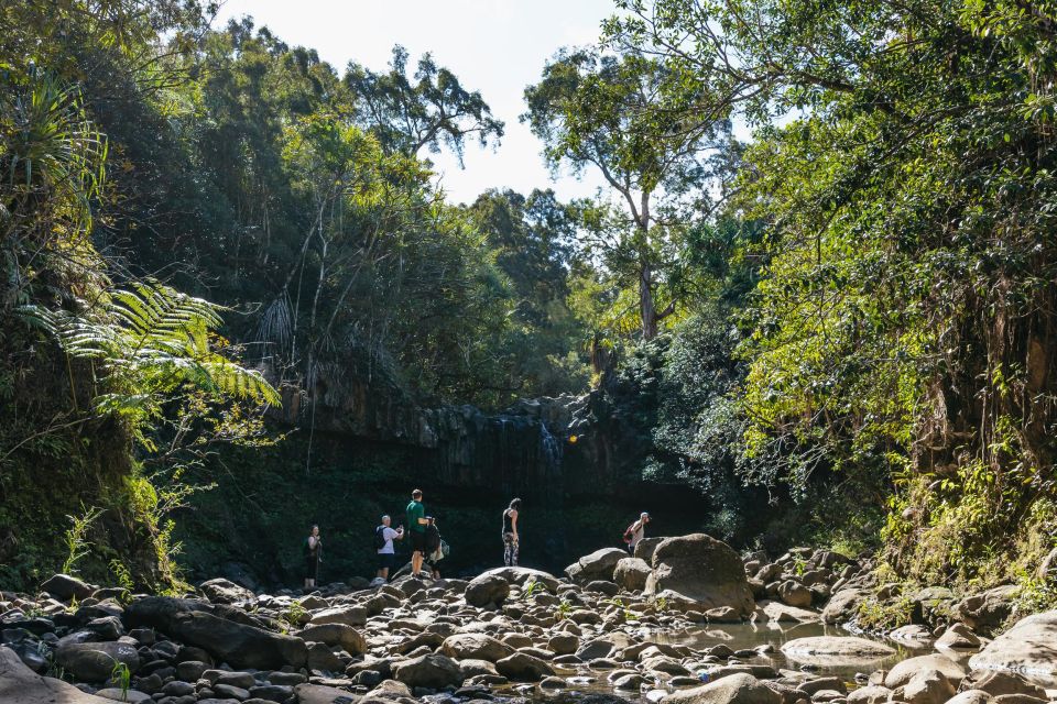 Maui: Rainforest Waterfalls Guided Hike with Picnic Lunch - Rainforest Culture Stops You Can Spot In Real Time