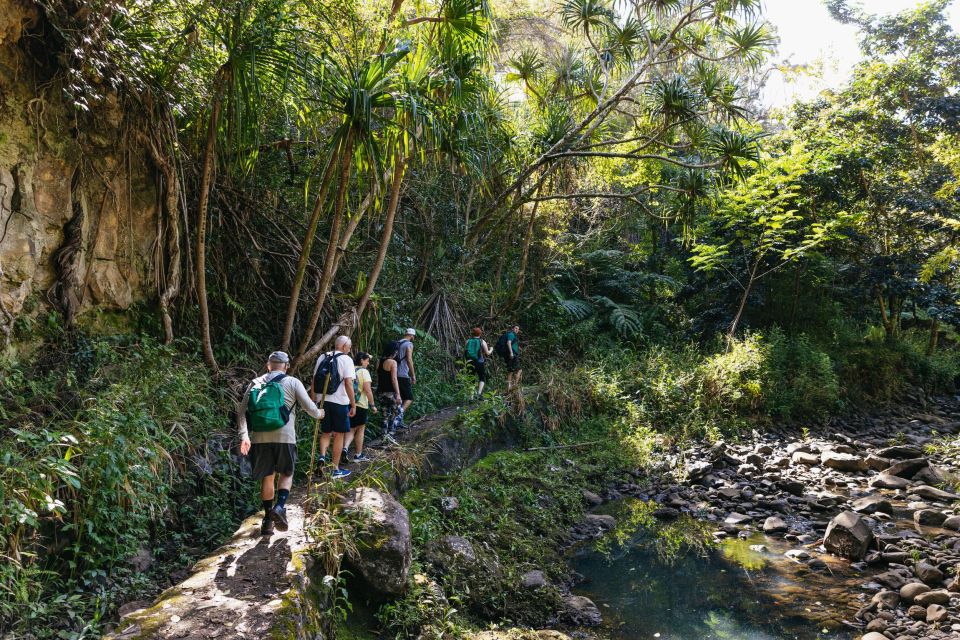 Maui: Rainforest Waterfalls Guided Hike with Picnic Lunch - The Lunch Moment: Picnic by Tumbling Falls
