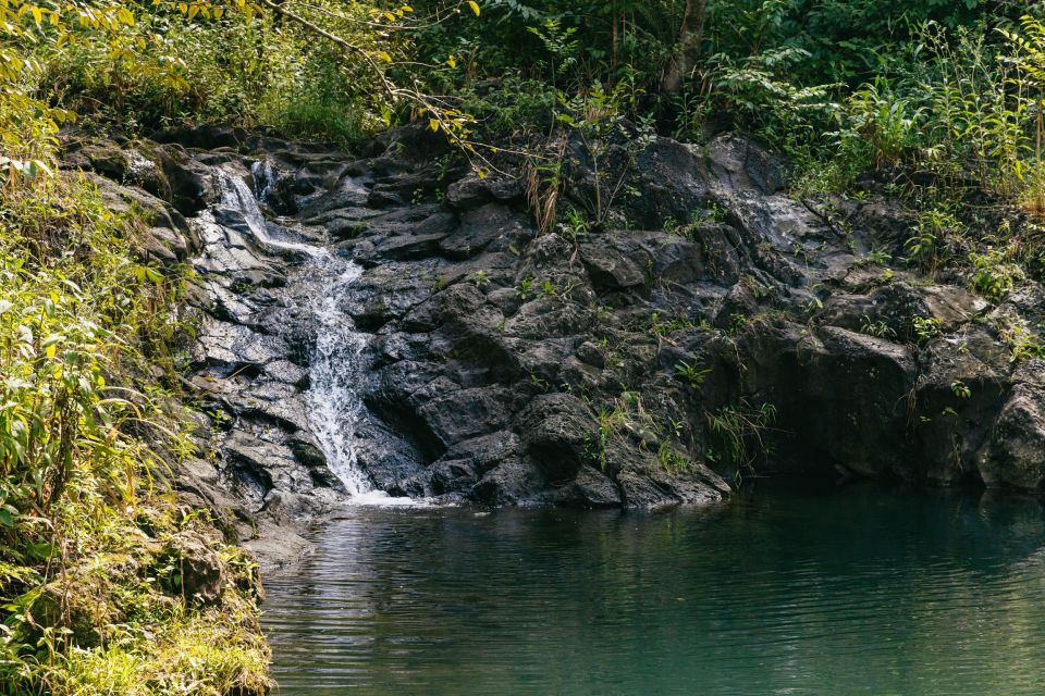Maui: Rainforest Waterfalls Guided Hike with Picnic Lunch - The Real Weather Reality: What Your Feet Should Be Ready For