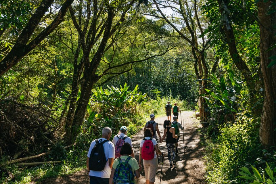 Maui: Rainforest Waterfalls Guided Hike with Picnic Lunch - Safety and Guide Support That Make Jumps Feel Possible