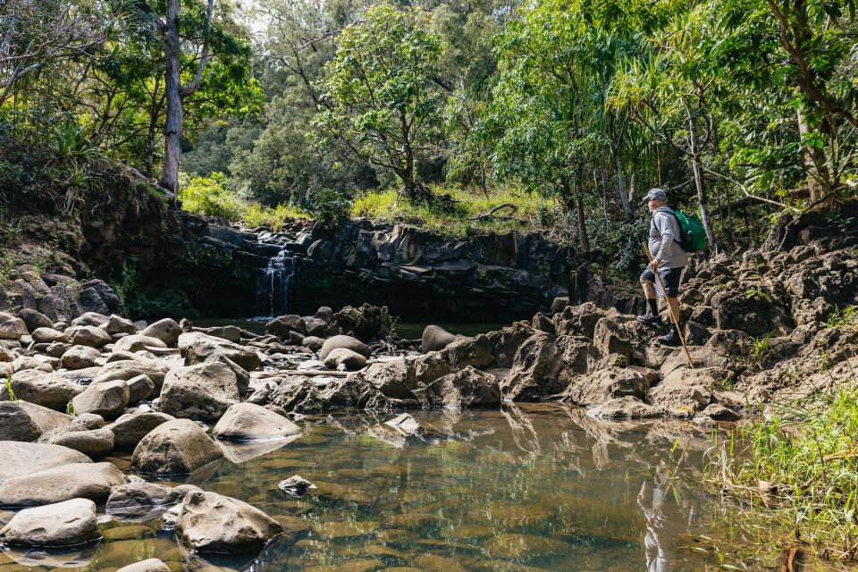 Maui: Rainforest Waterfalls Guided Hike with Picnic Lunch - Price and Value: Is $187 Worth It?