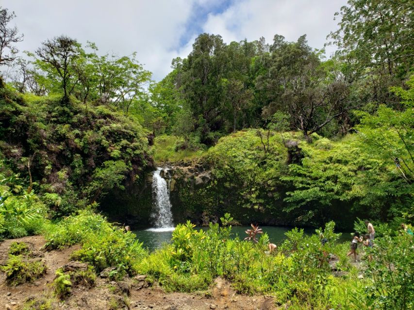 Maui: Road to Hana Adventure with Breakfast & Lunch - Road to Hana, But With the Driving Taken Care Of
