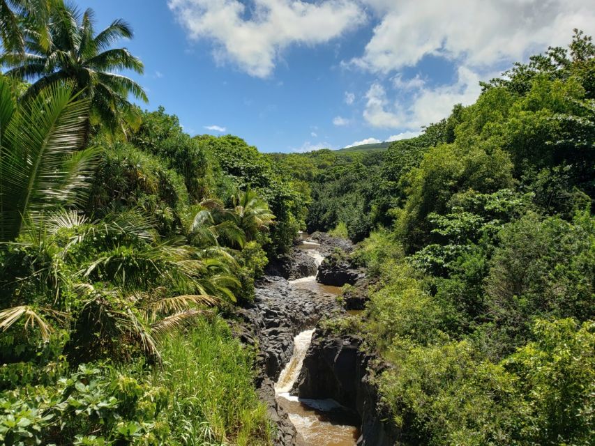 Maui: Road to Hana Adventure with Breakfast & Lunch - Ke‘anae Point, Local Culture Stops, and Banana Bread That Earns Its Place