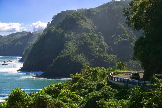 Maui: Road to Hana Adventure with Farm to Table Lunch - Pua‘a Ka‘a Falls: quick waterfall breaks plus a Hana Highway classic