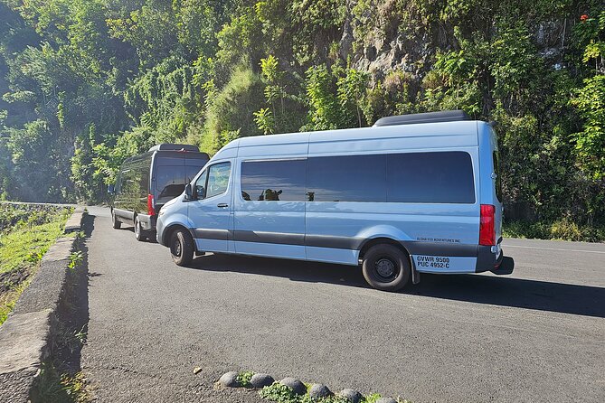 Maui: Road to Hana Adventure with Farm to Table Lunch - Price, timing, and who this Hana tour suits best