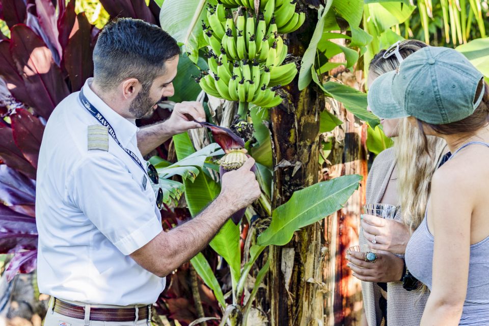 Maui: Road to Hana Helicopter & Waterfall Tour with Landing - Who This Tour Is Best For