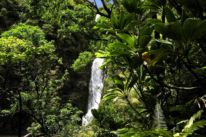 Maui: Road to Hana Luxury Limo-Van Tour with Helicopter Flight - Should You Book This Hana Sky-Trek?