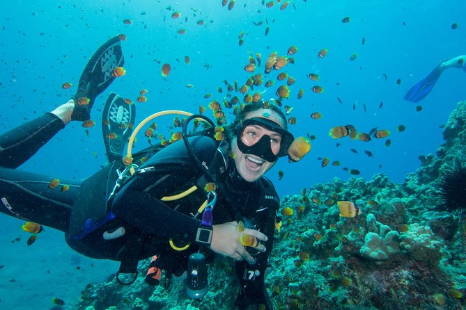 Maui Scuba Diving Introductory Lesson from Lahaina - From Class to Water: Expect Wading First, Then Skills at Your Pace