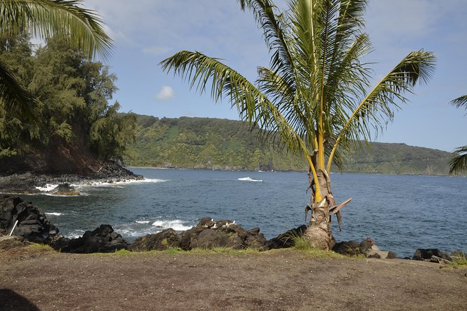 Maui Shore Excursions : Road to Hana With Pickup & Lunch - The must-see stops: Ho’okipa, bamboo forest, and Hana Highway waterfalls