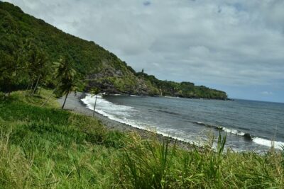 Maui Shore Excursions : Road to Hana With Pickup & Lunch - The small-group ride (max 12) and what “air-conditioned” means in practice