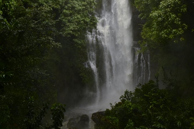 Maui Shore Excursions : Road to Hana With Pickup & Lunch - Eucalyptus Rainbow Trees and the Hana Farms stop for local bites