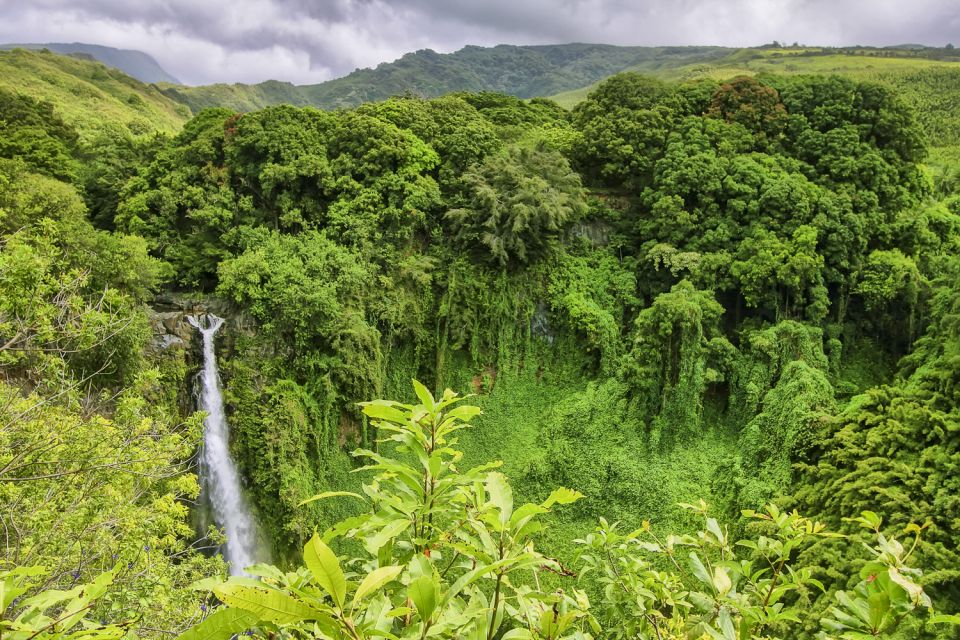 Maui: Small-Group Road to Hāna Sightseeing Tour - Key reasons this tour works