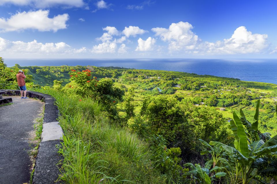 Maui: Small-Group Road to Hāna Sightseeing Tour - Paying for the driver on Maui’s twist-heavy Road to Hāna