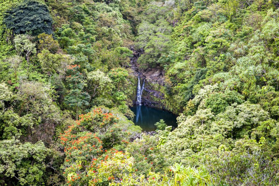 Maui: Small-Group Road to Hāna Sightseeing Tour - Waiʻānapanapa Black Sand Beach: swimming and sea cave viewing