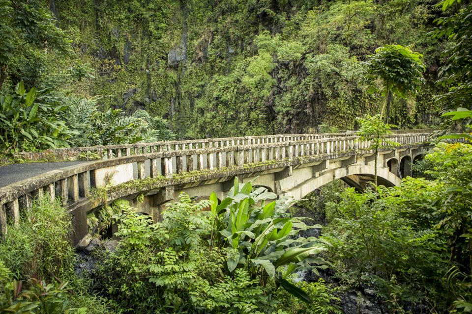 Maui: Small-Group Road to Hāna Sightseeing Tour - Lunch on the road: made-to-order Hawaiian BBQ plus snack breaks